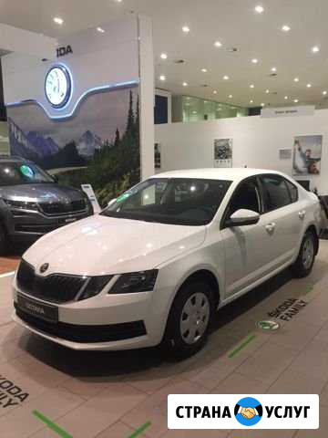Аренда авто под такси Сочи - изображение 1