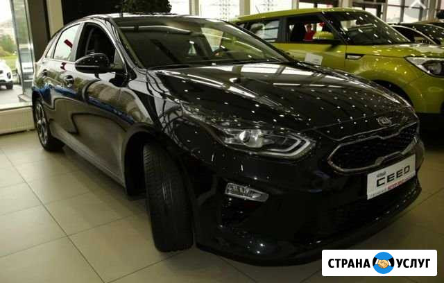 Трансфер.Деловые поездки. Аренда авто с водителем Нижний Новгород - изображение 1
