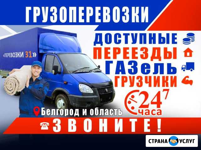 Грузовая газель, переезды, грузчики Белгород - изображение 1