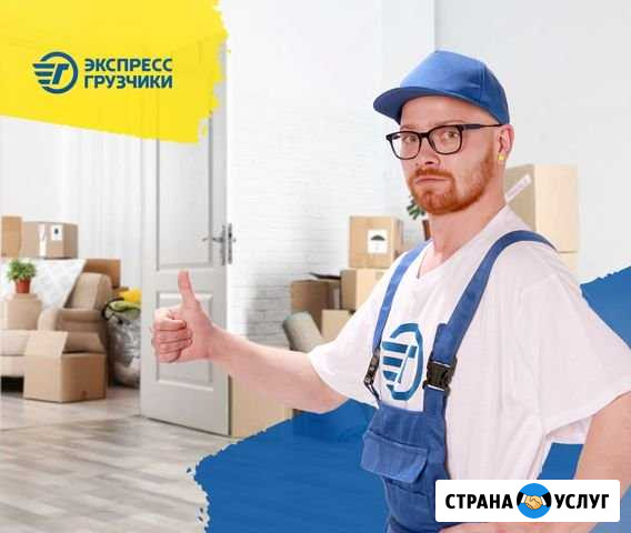 Уборка / Вывоз мусора Краснодар - изображение 1
