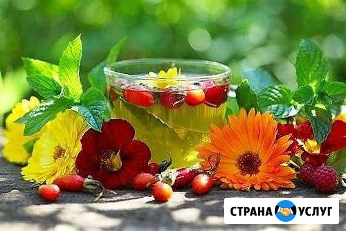 Иван-чай Благовещенск - изображение 1