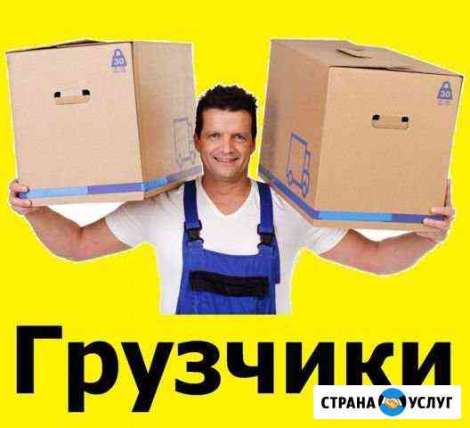 Грузчики. Переезды Самара
