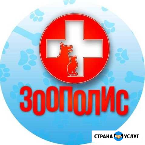 Стерилизация кошек В зоополис Новокузнецк - изображение 1
