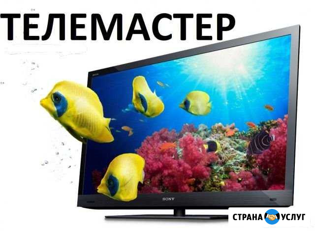 Ремонт Телевизоров Новороссийск - изображение 1
