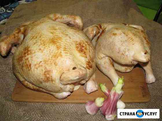 Мясо цыплят бройлеров Кингисепп