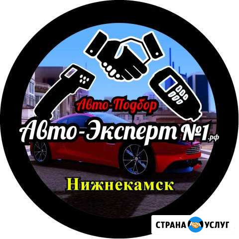 Автоподбор.Выездная Диагностика.Проверка.Подбор Нижнекамск - изображение 1