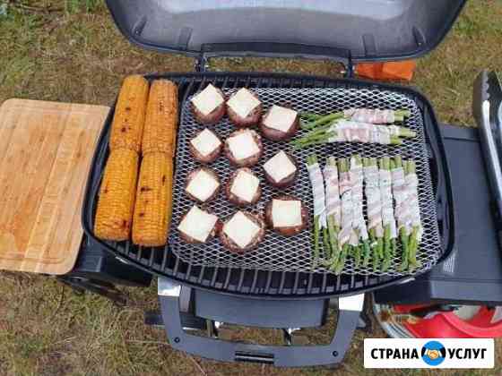 Газовый портативный гриль BBQ Napoleon в аренду Ярославль