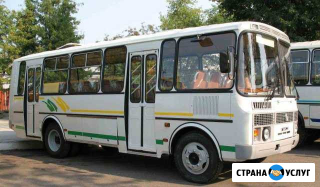Пассажирские перевозки 13-40 мест паз.форд.газель Самара - изображение 1