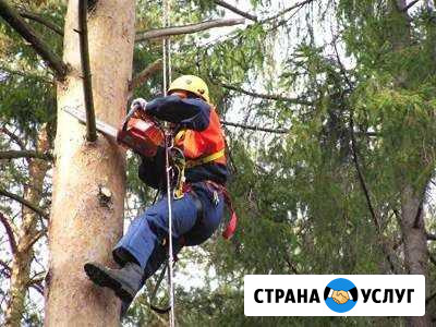 Спил деревьев,расчистка участков,демонтаж строений Горячий Ключ - изображение 1