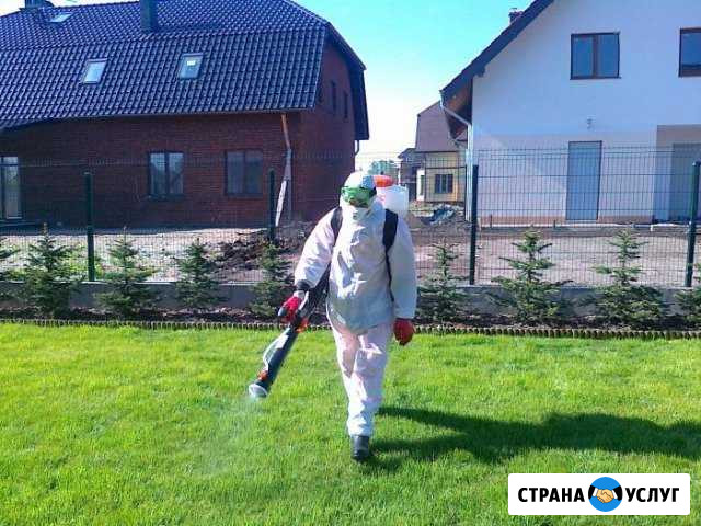Уничтожение тараканов,клопов и насекомых Оренбург - изображение 1