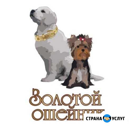 Стрижка животных Орёл - изображение 1