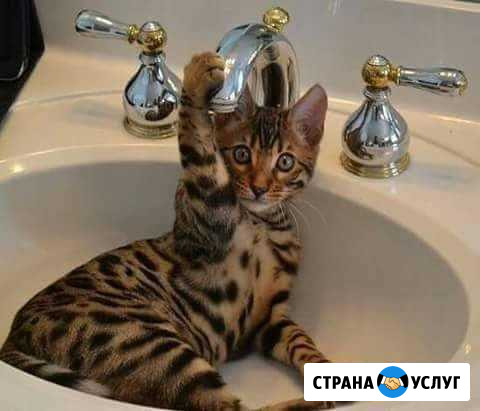 Убоика квартир Бийск - изображение 1