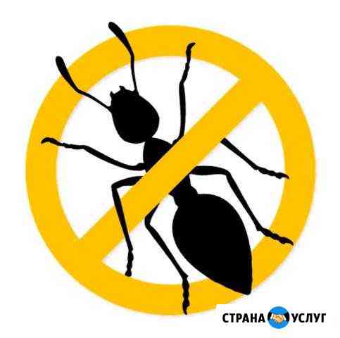 Выведу клопов и тараканов, уничтожение, дезинсекци Нижний Новгород