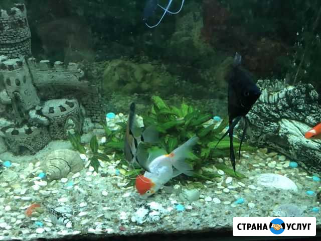 Мастер на час Благовещенск - изображение 1