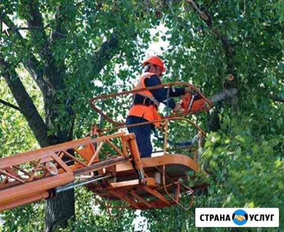 Спил деревьев, обрезка Майкоп