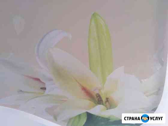Натяжные потолки Чита