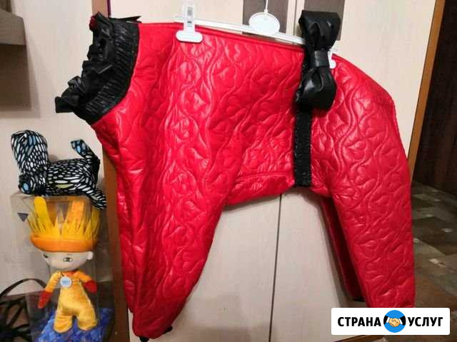 Шью для собак и кошек Новокузнецк - изображение 1
