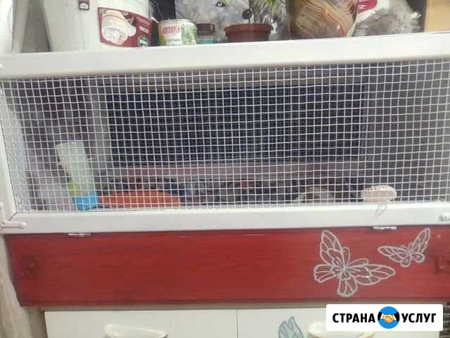 Клетка на заказ Наро-Фоминск - изображение 1
