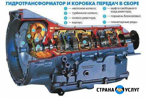 Ремонт zf Липецк - изображение 1