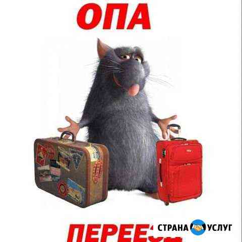Грузчики с автомобилем Липецк