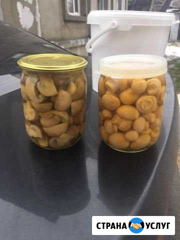 Маринованные шампиньоны Подольск - изображение 1