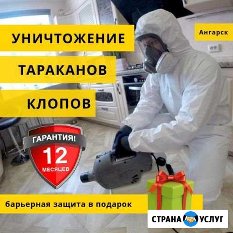 Травим клопов, тараканов Ангарск - изображение 1