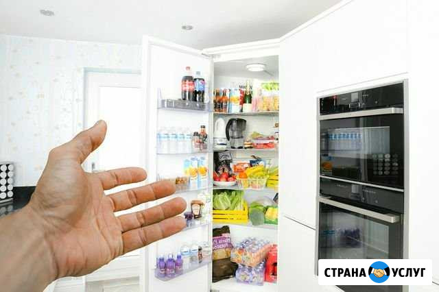 Ремонт холодильников посудомоечных машин Санкт-Петербург - изображение 1