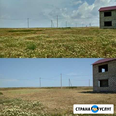 Спил деревьев,Покос травы, Расчистка участков Голубицкая - изображение 1