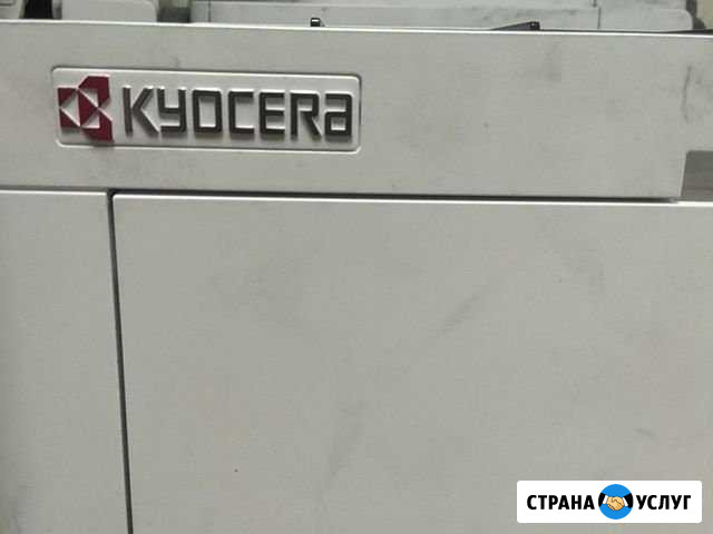 Ремонт принтеров Самара - изображение 1