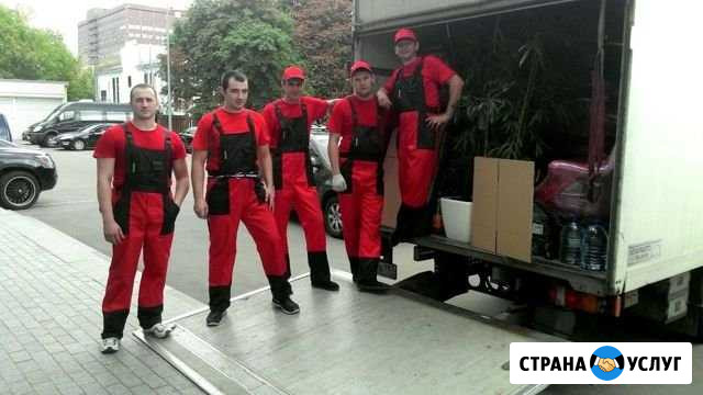 Переезды Грузчики Владимир - изображение 1