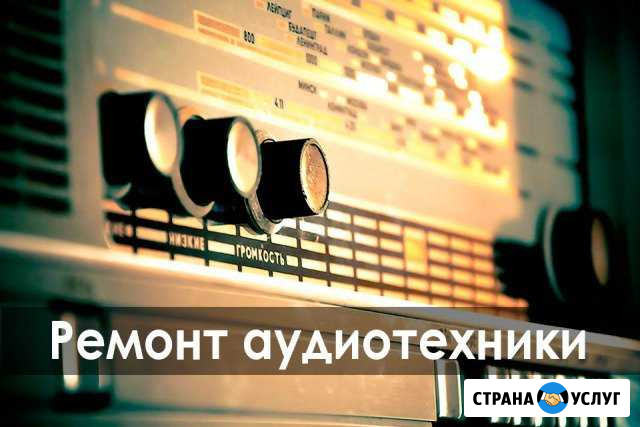Профессиональный ремонт аудиотехники Москва - изображение 1