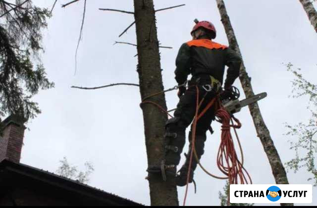 Спил деревьев, уборка территории Нальчик - изображение 1