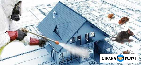 Клопов И тараканов нет. Травка насекомых Петропавловск-Камчатский - изображение 1