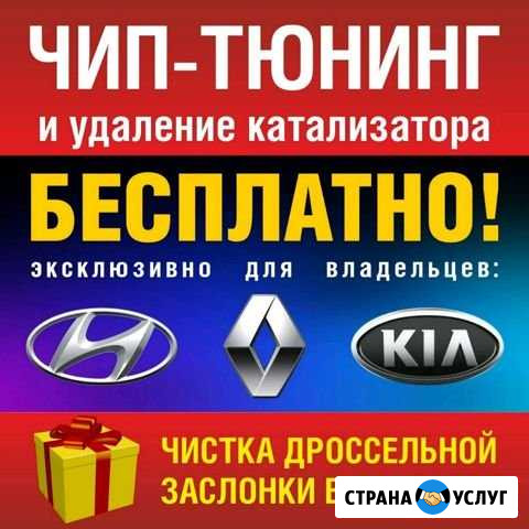 Удаление катализатора(сажевого фильтра) бесплатно Казань - изображение 1