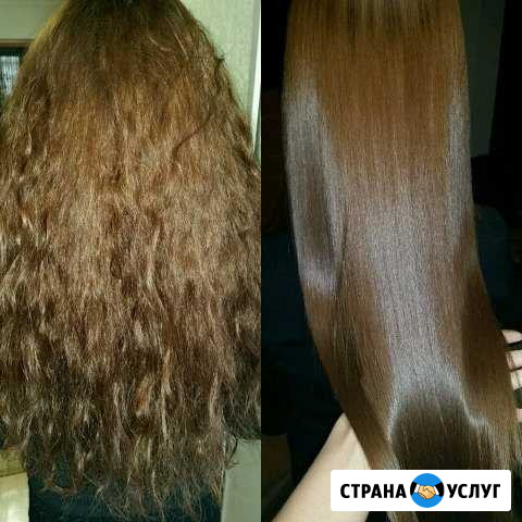 Нанопластика/лисопластия Нижний Новгород - изображение 1