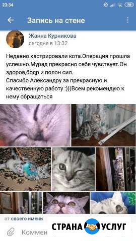 Ветеринарный врач на дом Иваново - изображение 1