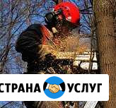 Спил деревьев Невинномысск - изображение 1