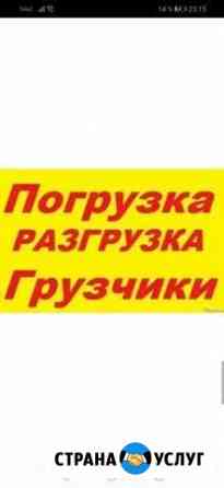 Грузчики Белгород