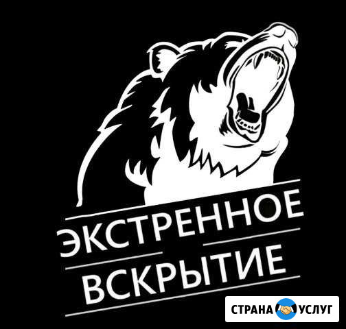 Открыть машину,замок,дверь, сейф, гараж Петропавловск-Камчатский - изображение 1