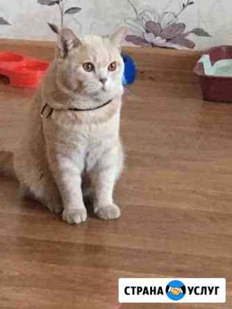 Вязка Иркутск