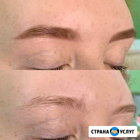 Обучение на бровиста Таганрог - изображение 1