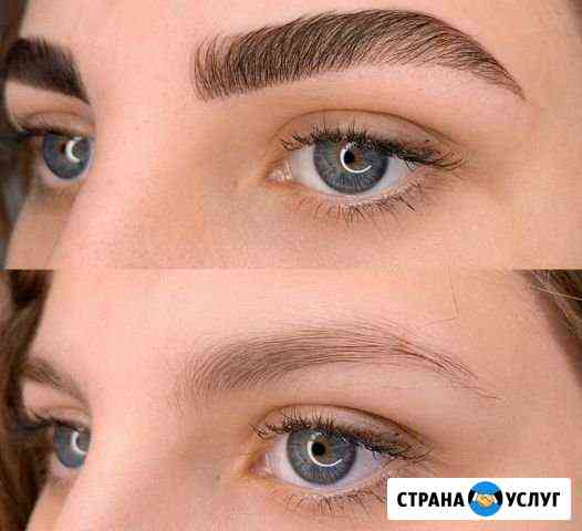 Бровист Москва