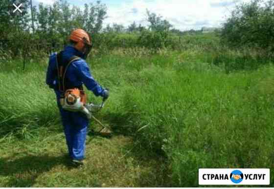 Расчистка участков, покос травы, валка деревьев, к Сочи