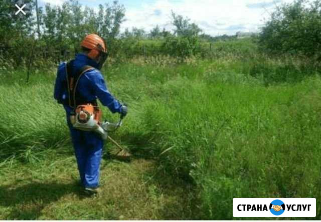 Расчистка участков, покос травы, валка деревьев, к Сочи - изображение 1
