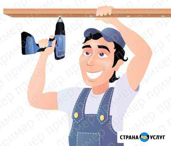 Профессиональная сборка мебели Долгопрудный