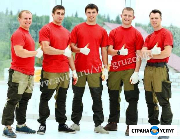 Грузчики Томск - изображение 1
