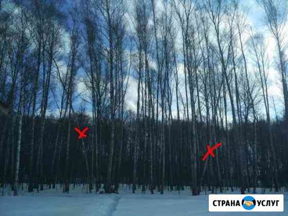 Корчевание пней,удалим деревья, очистка участка.Эк Заокский