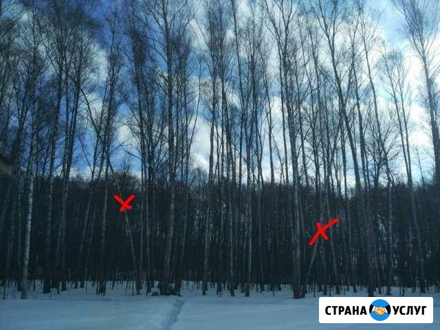 Корчевание пней,удалим деревья, очистка участка.Эк Заокский - изображение 1