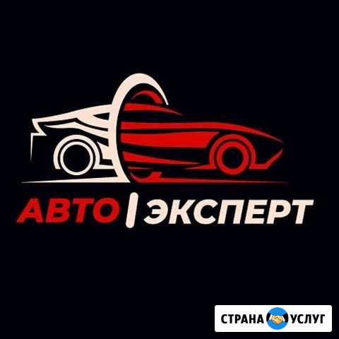 Автоэксперт. Подбор авто. Выездная диагностика Москва - изображение 1