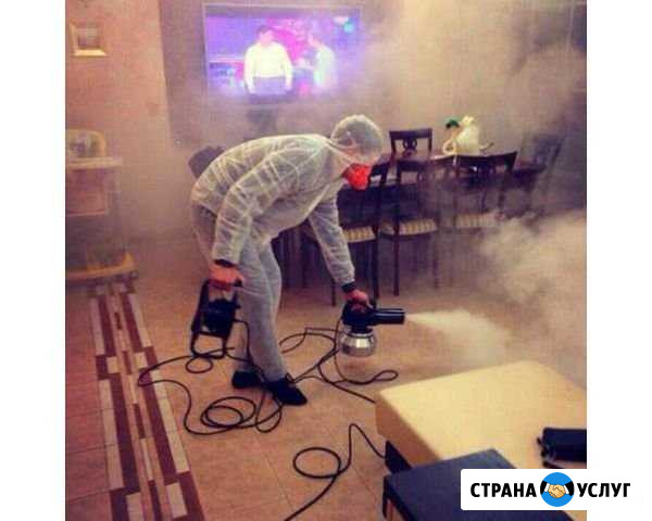 Уничтожение насекомых, дезинсекция Сыктывкар - изображение 1